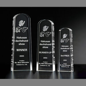 シンプル格安が一番評判高いクリスタルトロフィーH01-02