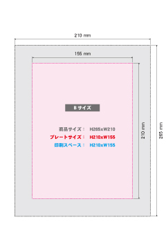 H36-02Bサイズ画像