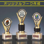 若者向けスポーツイベント表彰トロフィー