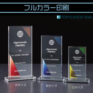 透明感あるクリスタル製 四角い表彰盾 フルカラー対応