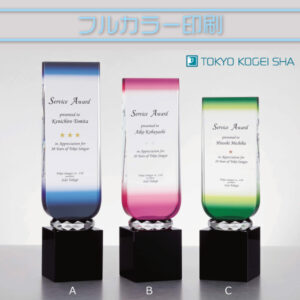 重厚感ある黒い土台付き クリスタル製縦長トロフィー