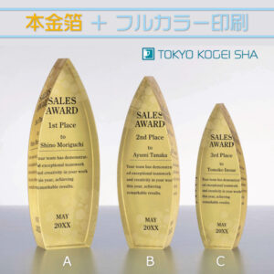 高級感漂うフルカラー印刷付きクリスタルトロフィー