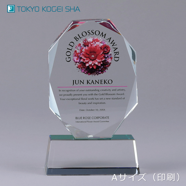 イベント表彰におすすめのレインボー加工トロフィー
