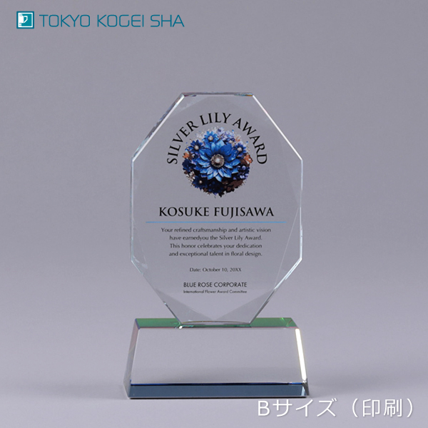 おしゃれなレインボー加工付きクリスタル製トロフィー